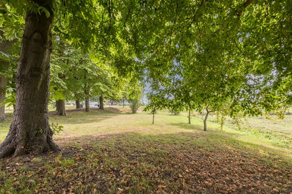 Medium property photo - Oostgaag 27, 3155 CE Maasland